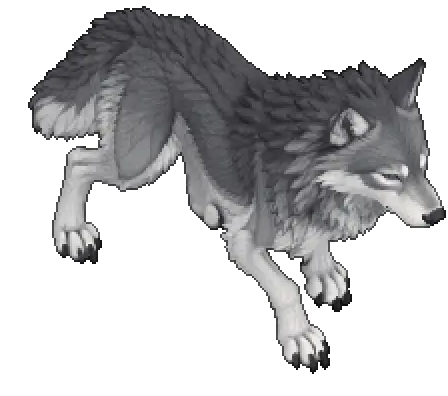 El lobo encadenando paso, trote y carrera con sus transiciones, animado